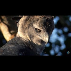 Meet your Posher, Clinton